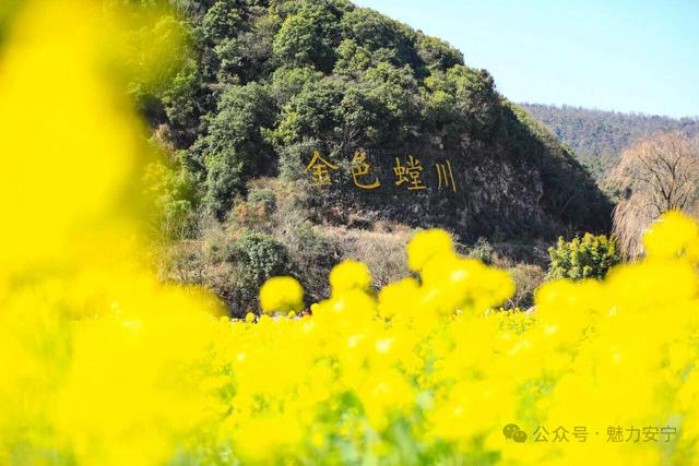 从“钢铁之城”到旅居胜地 安宁30年绘就“有一种叫云南的生活”图景