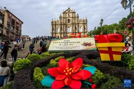 澳门回归祖国25周年丨盛世莲花赤子心——澳门的家国情怀传承不息图片