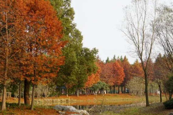 荆州风景地图：从古城墙到浅山，解锁5处限定美色