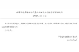 重磅！四大金融机构官宣：中央汇金成为控股股东图片