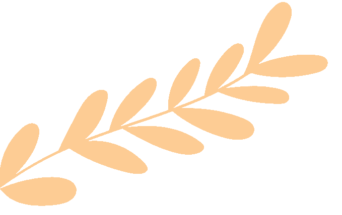 便民就医再升级！“特色门诊+便民班车”守护您的健康图片