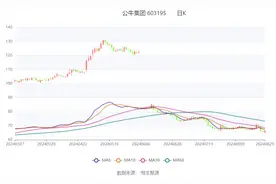 公牛集团：2024年上半年净利润22.39亿元 同比增长22.88%图片