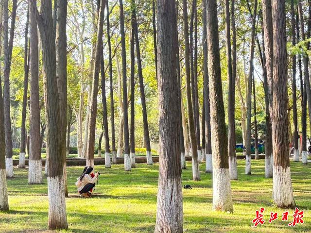 将秋天的颜色，调进咖啡和音乐里…… 武汉秋日的打开方式变了
