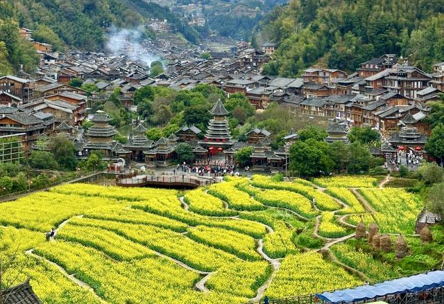 肇兴：春日限定 金色侗寨