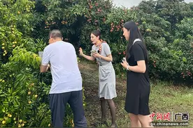 北部湾航空积极助“荔” 拓宽广西灵山荔枝销售渠道图片