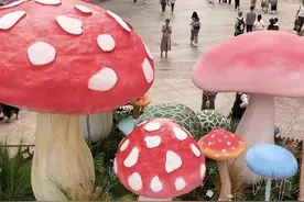 昆明：“巨型蘑菇”成新晋网红打卡地图片