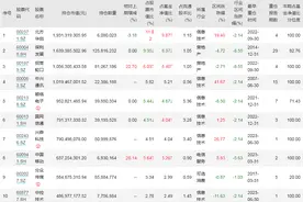 谢治宇卸任这只基金！年内两次变更基金经理，重仓个股下半年至今大跌图片