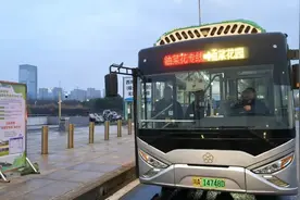 油菜花！公交专线来了图片