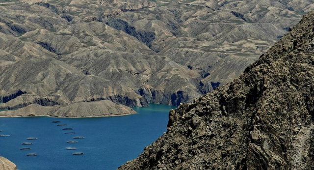 神州答卷｜守护清清黄河源头的青海故事