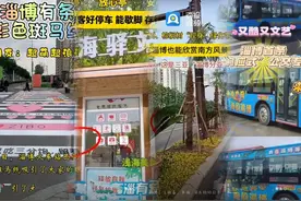 连续上榜热门城市，为什么是淄博？图片