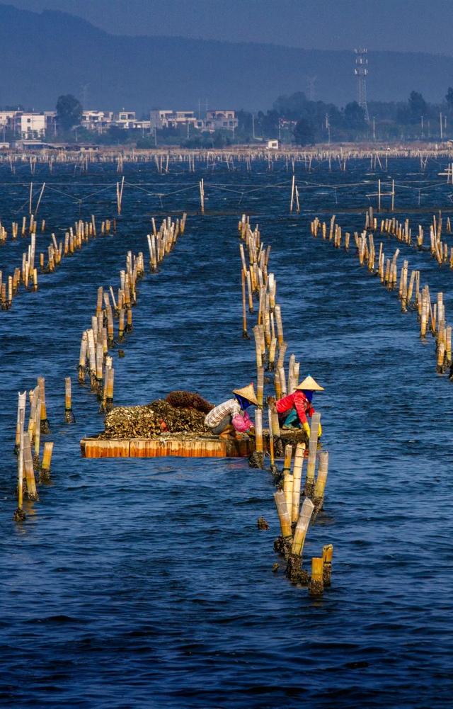 福建人：生而为「流」