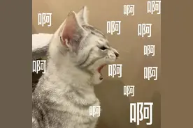 重要提醒！本周上班时间有变！网友：天塌了图片