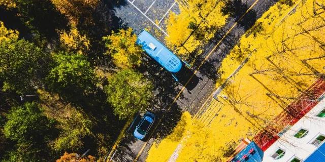 亮相央视！洛阳这些赏秋地，太美！