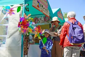 假期首日 北京市属公园迎客50万人次图片