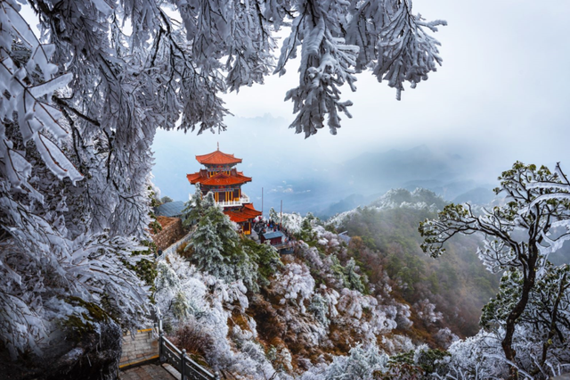 洛阳的第一场雪，来了！