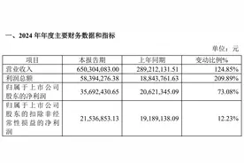 北交所200余家公司披露2024年业绩快报，营收最高增幅124%图片