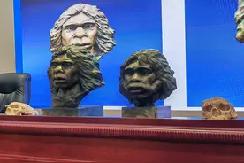 100万年前的古人类长啥样？他们首次复原了图片