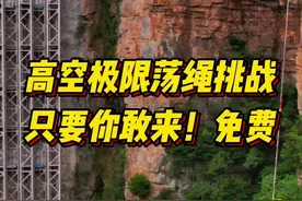 百龙天梯高空极限荡绳可免费挑战图片