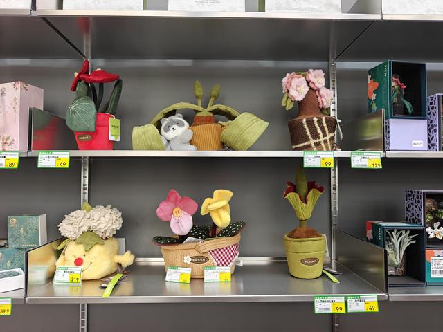 赏花看展淘文创！国家植物园邀您共享“一站式”春日快乐