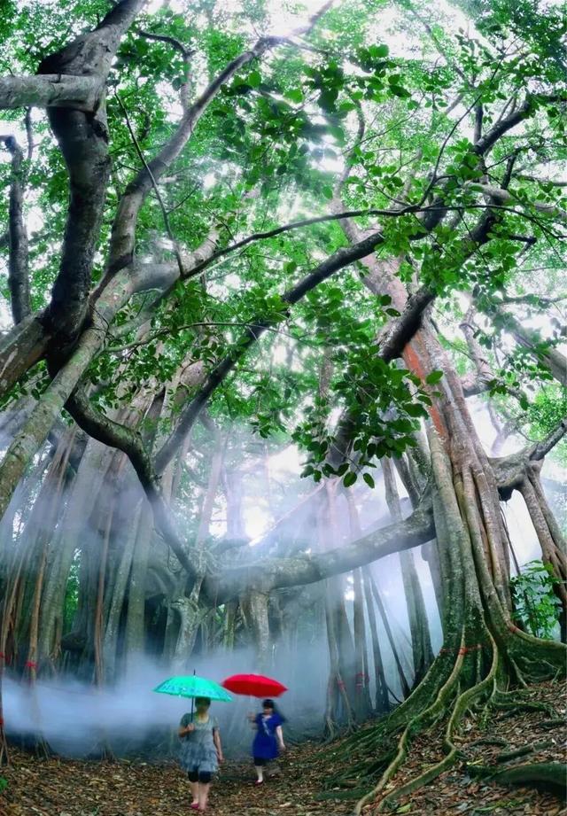 网络中国节·清明丨清明出游不扎堆！云南这些人少景美的宝藏小城别错过