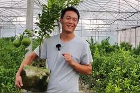 年销售额达200余万元！返乡创业大学生夫妻，当起乡村“园艺师”图片