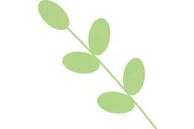 艺席之地 | 李广兰——长白山参之韵（一）图片