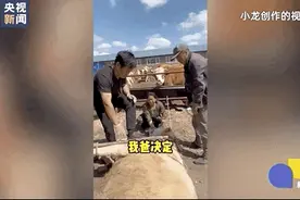 谁还没刷到过龙兽医？“根本停不下来！”图片