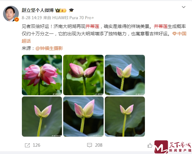 罕见“花中君子”绽放济南大明湖，外交部赵立坚在线“打Call”