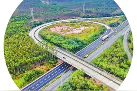 立好骨架 雷州渐近图片