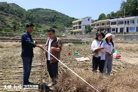 仁怀市茅坝镇：千亩油菜迎丰收 农机助力粒归仓图片