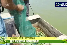 在广州南沙，一只蟹有十三种味️️️图片