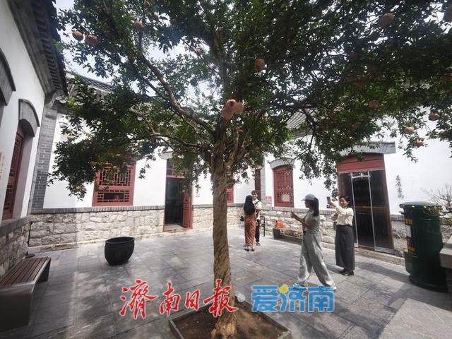一年四季 泉在济南丨循着老舍的足迹：南新街58号，寻觅济南城的精神坐标