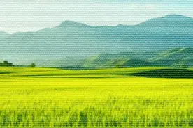 “最美家庭”打造“美丽庭院”，从荒地到花园，点亮乡村文明之光图片