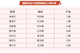 全省第一！潍坊7镇上榜首批国家农业产业强镇名单图片