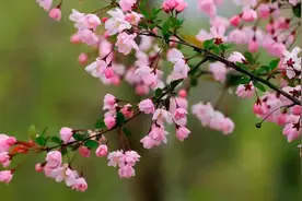 春天里，郑州7个适合遛娃的免费公园！图片