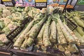 嘎嘣脆的贡菜 与莴笋是亲戚图片