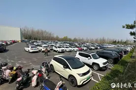 3天7万人次入园，车辆停出二里地，烟台植物园迎停车“大考”图片