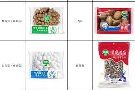 “金针菇大王”雪榕生物连续涨停：公司连亏四年资金压力大，接盘方去年底刚成立图片