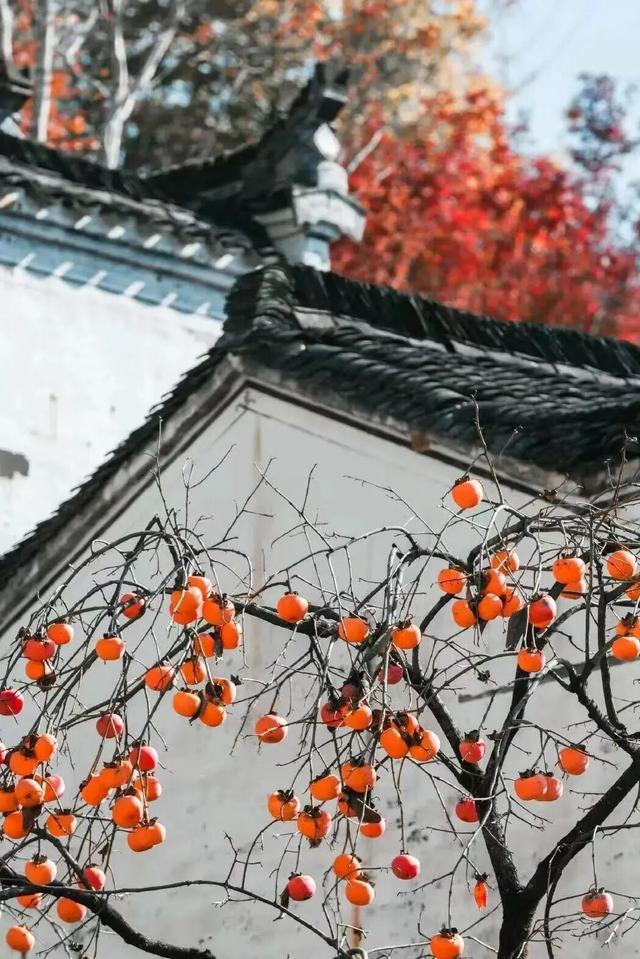 别急，江西秋日限定皮肤正在加载中......