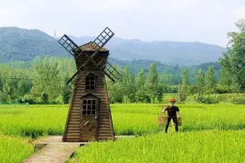 随县草店镇柯家寨：百年古村添新韵图片