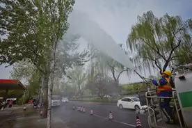 “科技神器”上场，精细化治理柳絮的烦恼 | 新京报快评图片