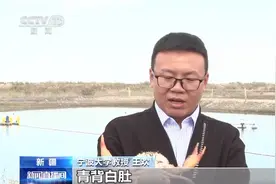 盐碱水里也能养海鲜？肥美青蟹在沙漠边缘“安家”了图片