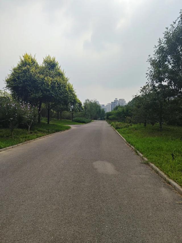热度高！通州这个新公园到底有啥魅力？小编现场实探，附开放时间......