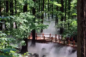 暑期到国家植物园纳凉，樱桃沟明起增加喷雾开放时间图片