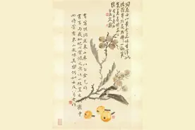 枇杷一枝想江南图片