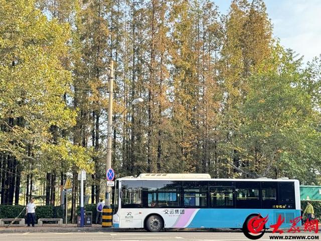 秋日漫游青岛，搭乘这些公交线路邂逅最美季节