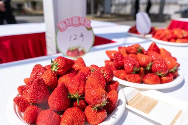 来“绿色青浦”直播间，赴一场秋冬鲜甜之约～