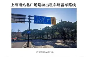 网约车、出租车、私家车如何“各行其道”？前往上海南站看图识路→图片