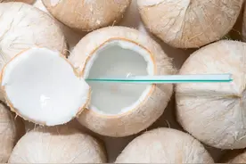 30秒｜过期椰子水慎喝，米酵菌酸致死率达40%-100%图片