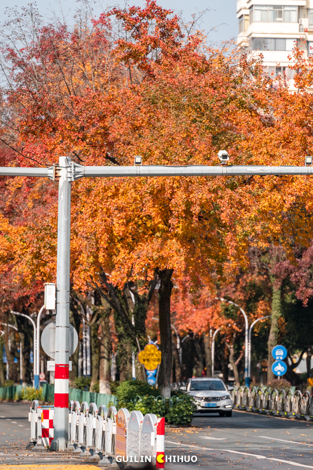 冬至丨解锁桂林的多彩冬天！
